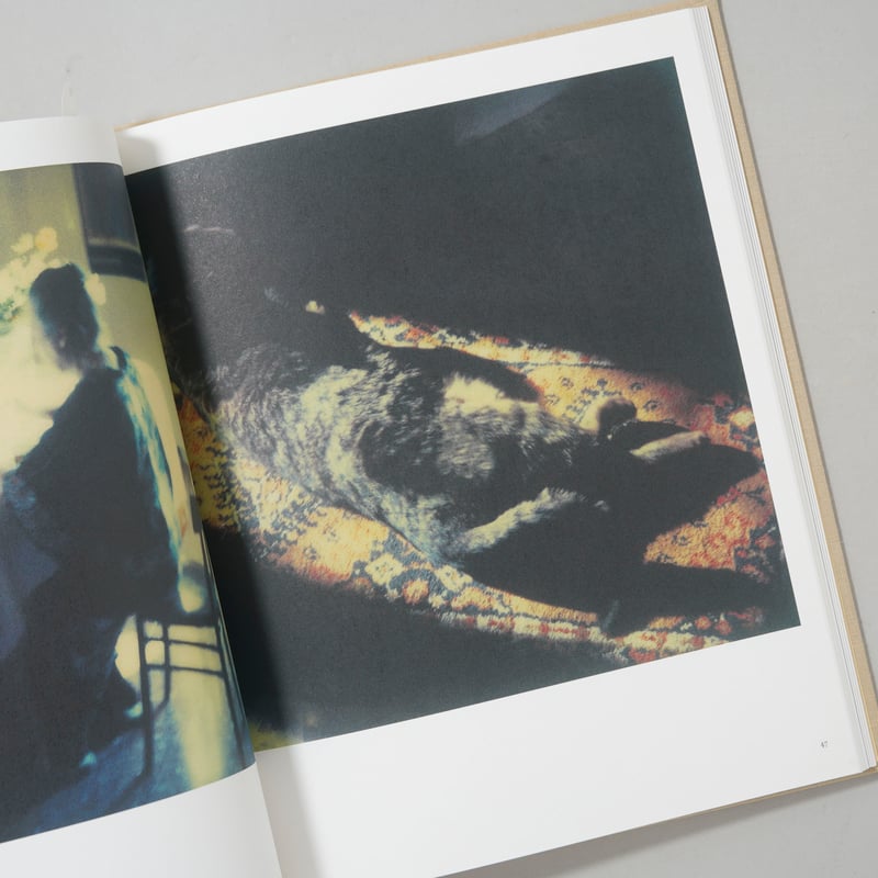 Bright, bright day / Andrey Tarkovsky(アンドレイ・タルコ