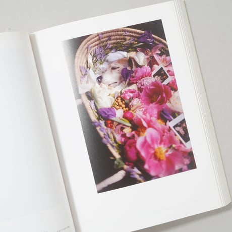 at Home / 上田義彦(Yoshihiko Ueda)