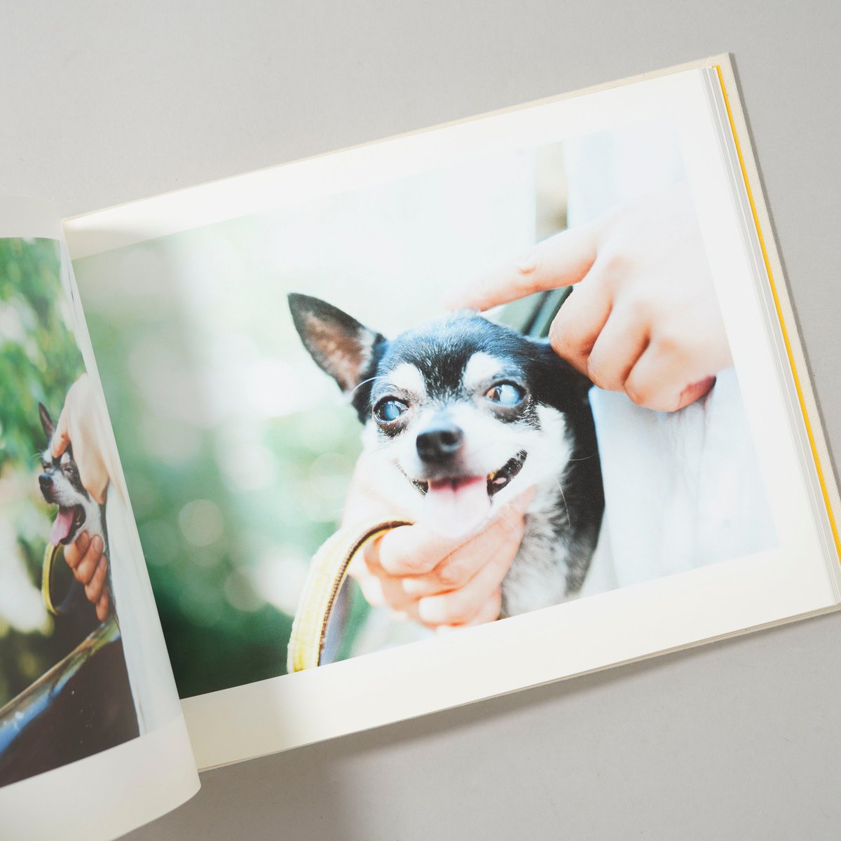 濱田英明　ONE DAY: LIFE WITH A DOG ONE DAY LIFE WITH A DOG / 濱田英明(Hideaki Hamada)
