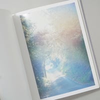 [サイン入/Signed] Des oiseaux (On birds) / 川内倫子(Rinko Kawauchi)
