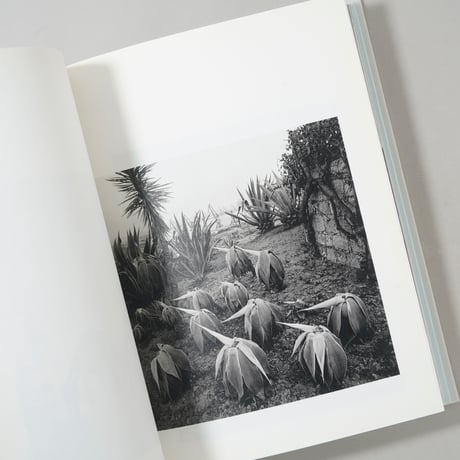 Contravisiones / Joan Fontcuberta(ジョアン・フォンクベルタ)