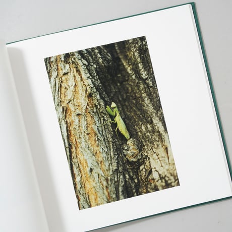 [サイン入/Signed] THE TITLE PAGE / 熊谷聖司(Seiji Kumagai)