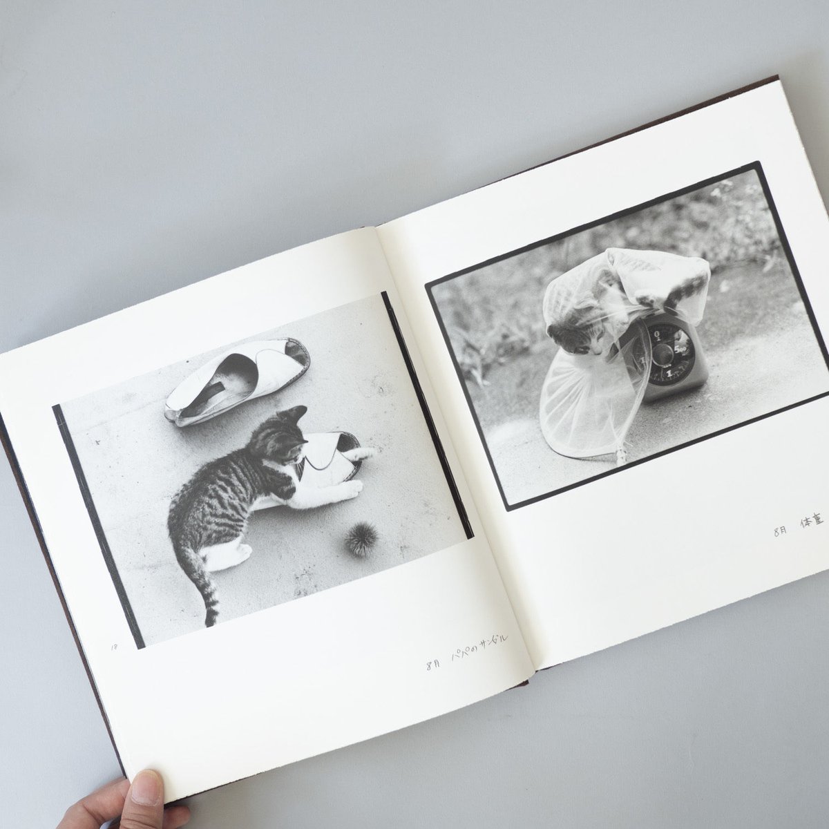 Afterword / 深瀬昌久(Masahisa Fukase) | book obscur...