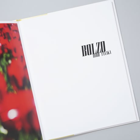 [新刊/New]BOLZO / 田中ヒロ(Hiro Tanaka)