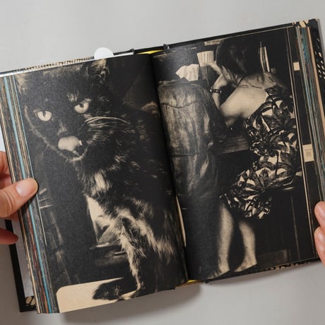 [サイン入/Signed] Moriyama Daido's Tokyo: ongoing / 森山大道(Daido Moriyama)