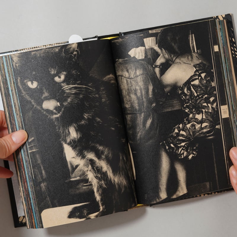 サイン入/Signed] Moriyama Daido's Tokyo: ongoing /