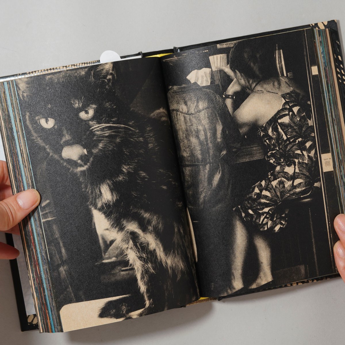 サイン入/Signed] Moriyama Daido's Tokyo: ongoing /