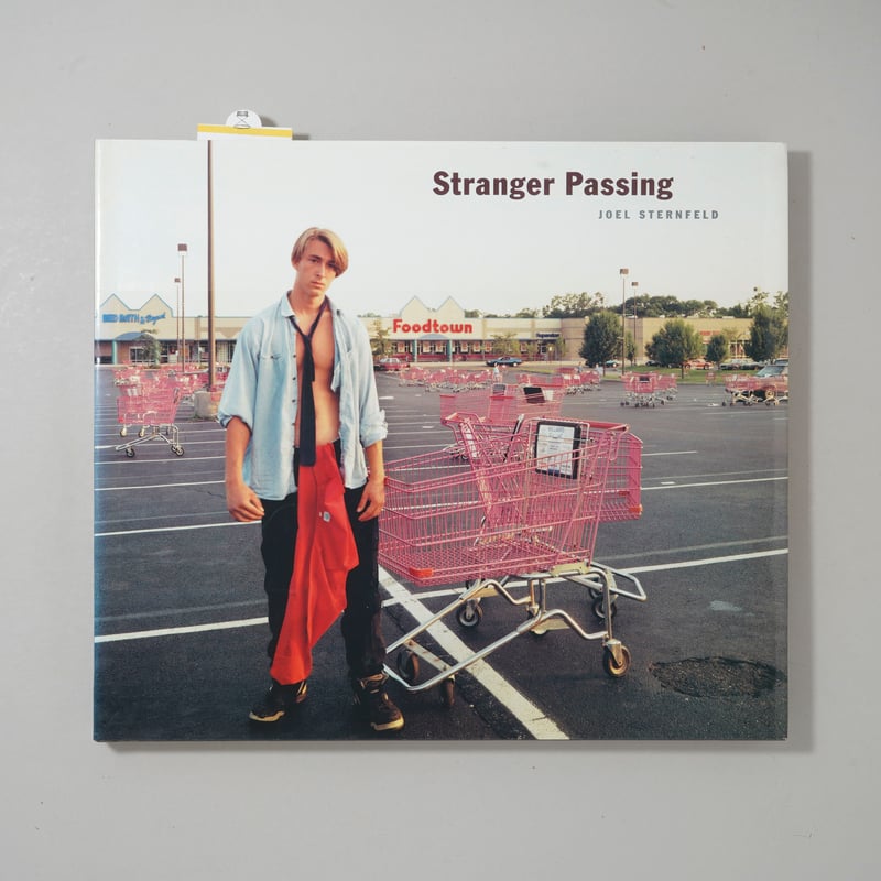 JOEL STERNFELD STRANGER PASSING 大型本 JOEL STERNFELD STRANGER PASSING 大型本 JOEL STERNFELD STRANGER