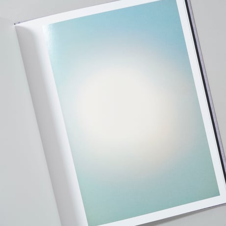 [新刊/New]Des oiseaux (On birds) / 川内倫子(Rinko Kawauchi)