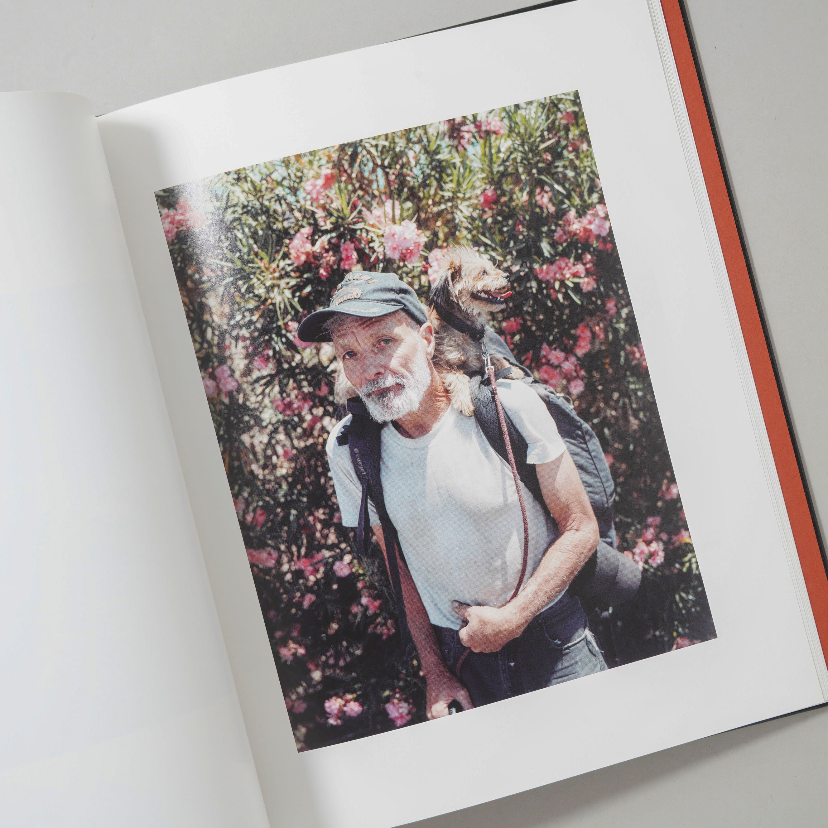 2.写真集『STRANGER』（柏田 テツヲ） STRANGER / 柏田テツヲ(Tetsuo Kashiwada) | bookobscur