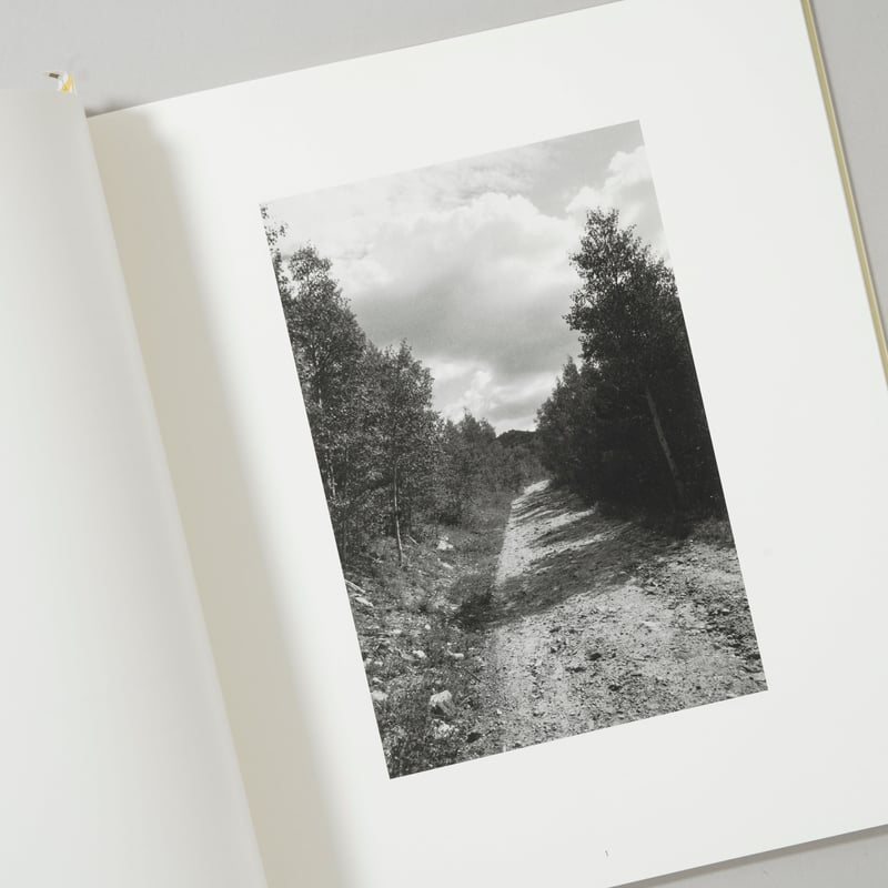 notes for friends / Robert Adams(ロバート・アダムス) | b