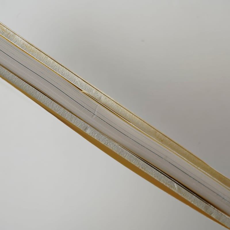 鈴木理策 / HYSTERIC EIGHT hysteric Eight - 鈴木 理策 / Risaku Suzuki