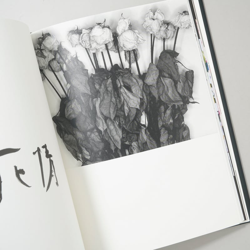 花人生 特別装丁版 / 荒木経惟(Nobuyoshi Araki) | bookobscura