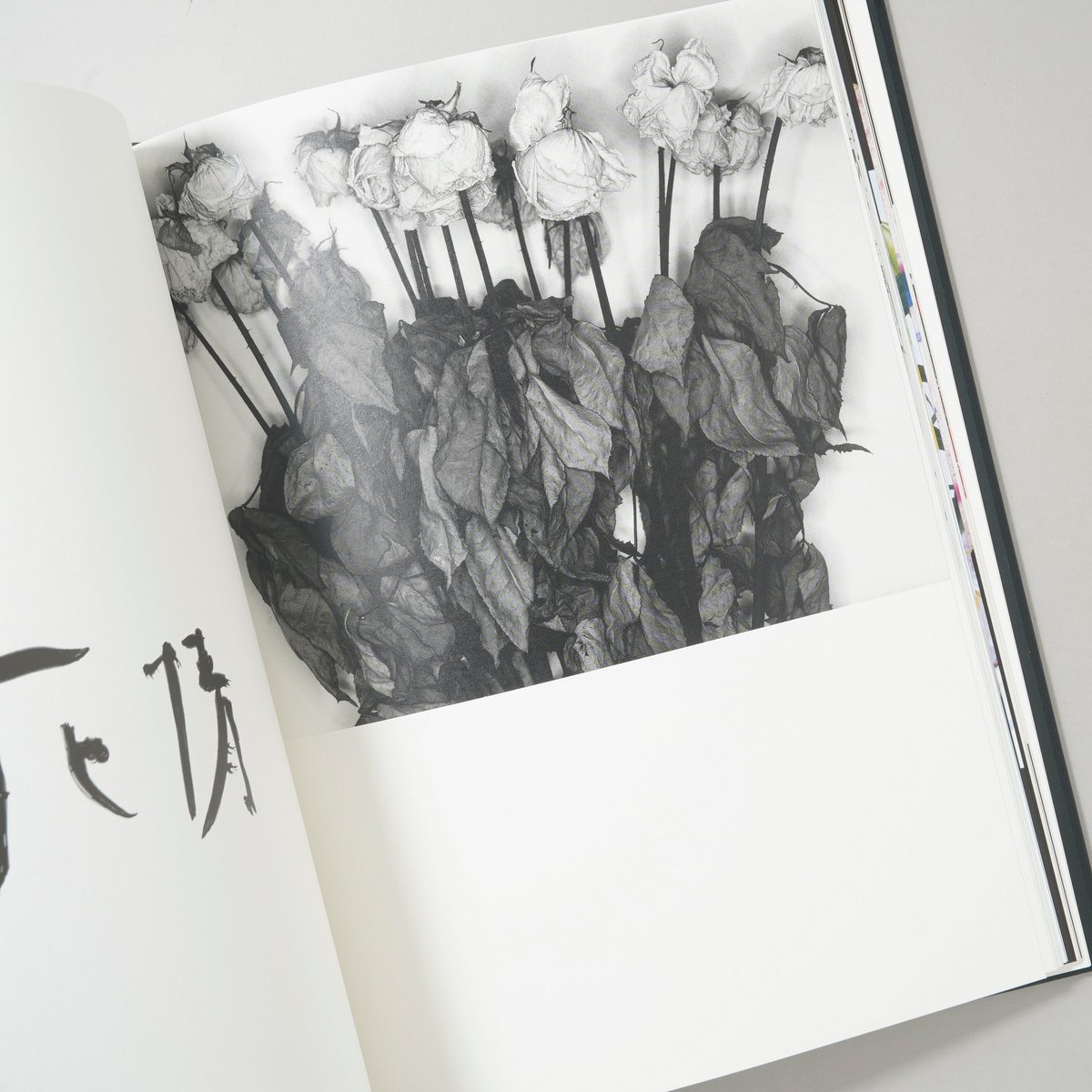 花人生 特別装丁版 / 荒木経惟(Nobuyoshi Araki) | bookobscura