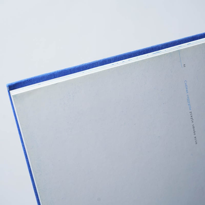 BLUE PRINTS / Zeva Oelbaum (セヴァ・オエルバム) | bookob