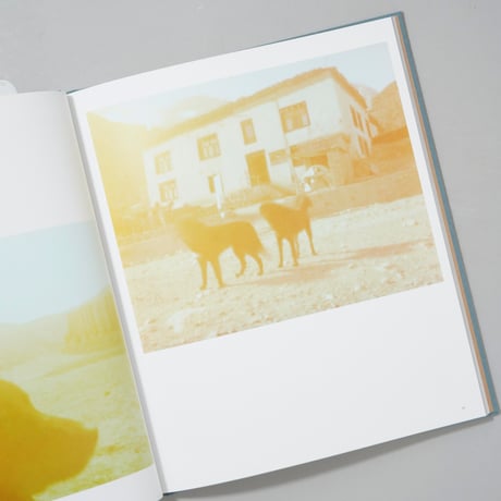 [サイン入/Signed] The Light / Mustang  光の王国 / 山西もも(Momo Yamanishi)