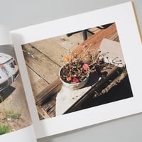 WINSLOW ARIZONA / Stephen Shore(スティーブン・ショア)