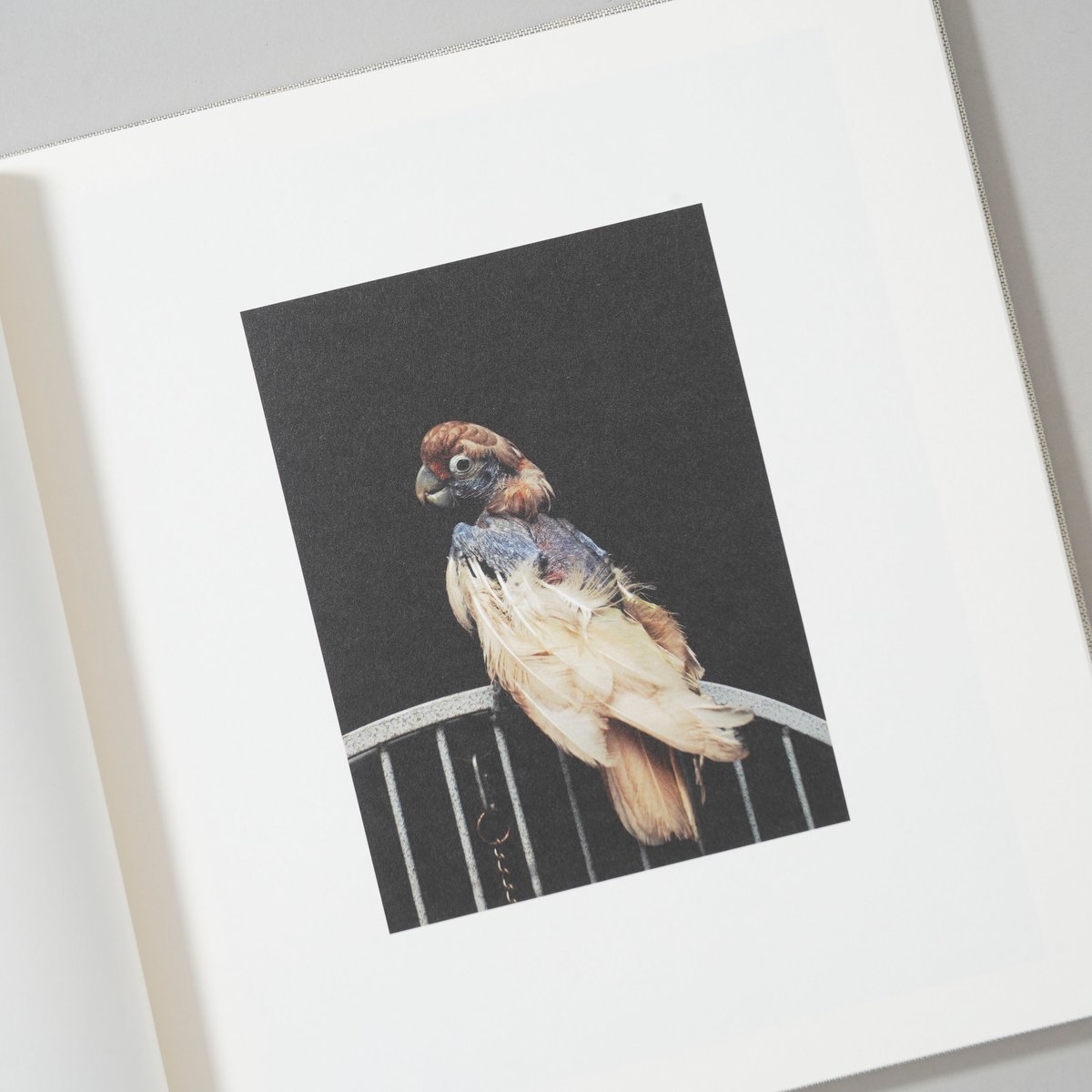 Photographs / Jack Davison(ジャック・デイヴィソン) | booko