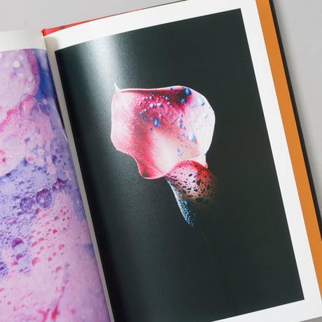[サイン入/Signed] LIQUID/FLOWERS / 田川優太郎(Yutaro Tagawa)