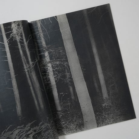 back yard / 横田大輔(Daisuke Yokota)