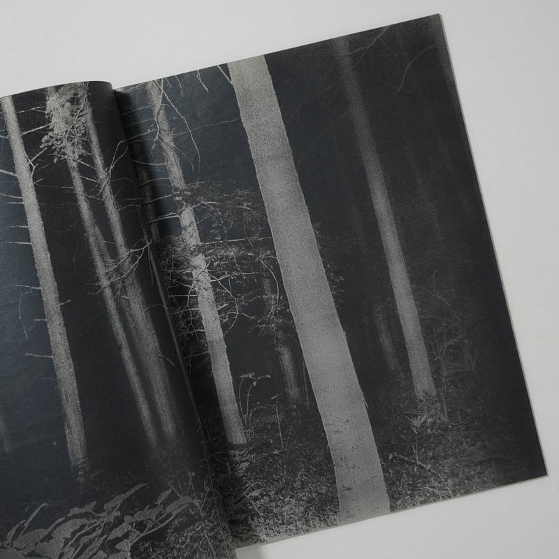 back yard / 横田大輔(Daisuke Yokota) | bookobscura｜