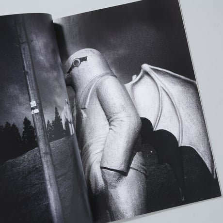 Where Have The Birds Gone? 鳥はどこへ行ったのか / Nicolas St-Pierre(ニコラス・サン＝ピエール)