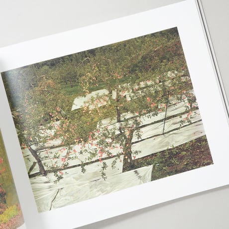 写真と絵画−セザンヌより 柴田敏雄と鈴木理策 / 柴田敏雄(Toshio Shibata)、鈴木理策(Risaku Suzuki)