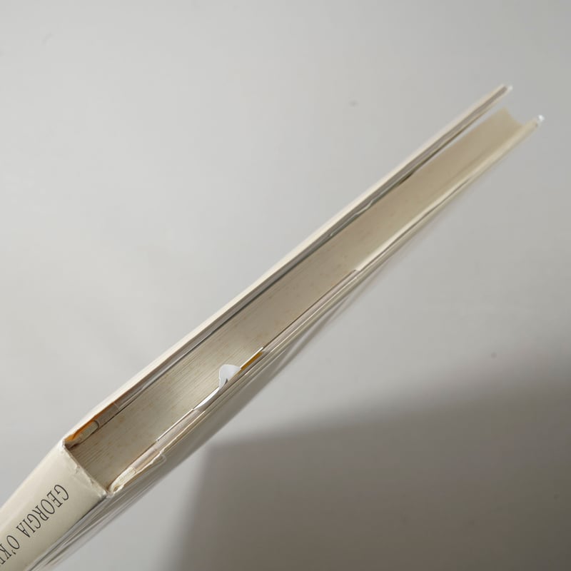 GEORGIA O'KEEFFE A PORTRAIT BY ALFRED STIEGLITZ