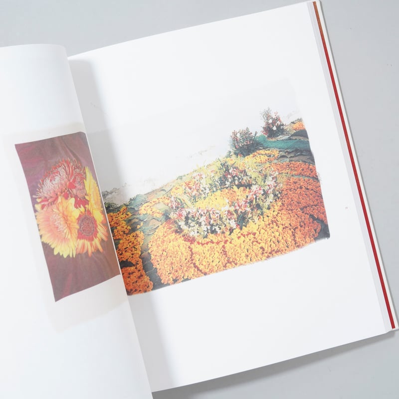 遠藤文香 Swaying Flowers サイン入りポストカード付き 750部限定