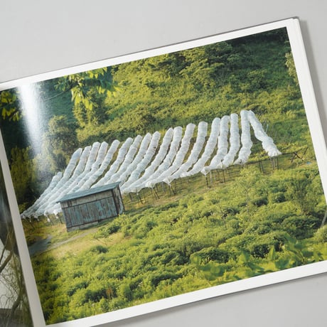 [サイン入/Signed] Concrete Abstraction / 柴田敏雄(Toshio Shibata)