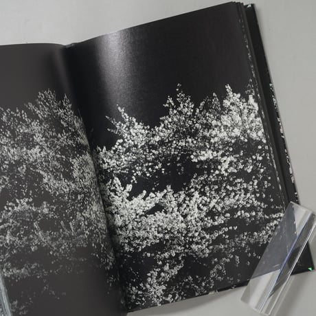 [サイン入/Signed] Ango(日本語版) / 森山大道(Daido Moriyama)