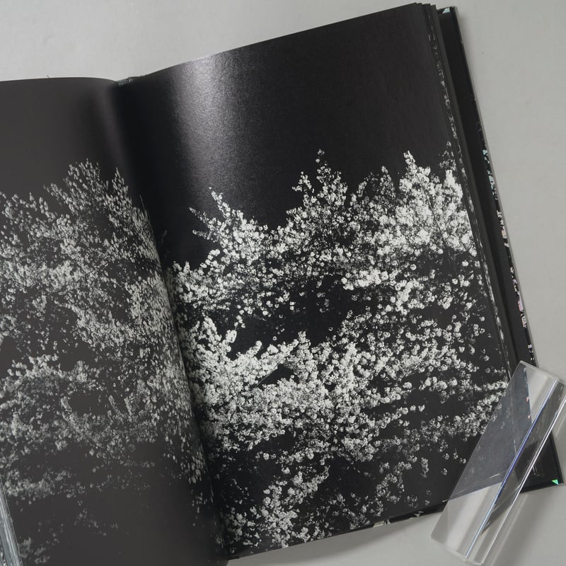 サイン入/Signed] Ango(日本語版) / 森山大道(Daido Moriyama)