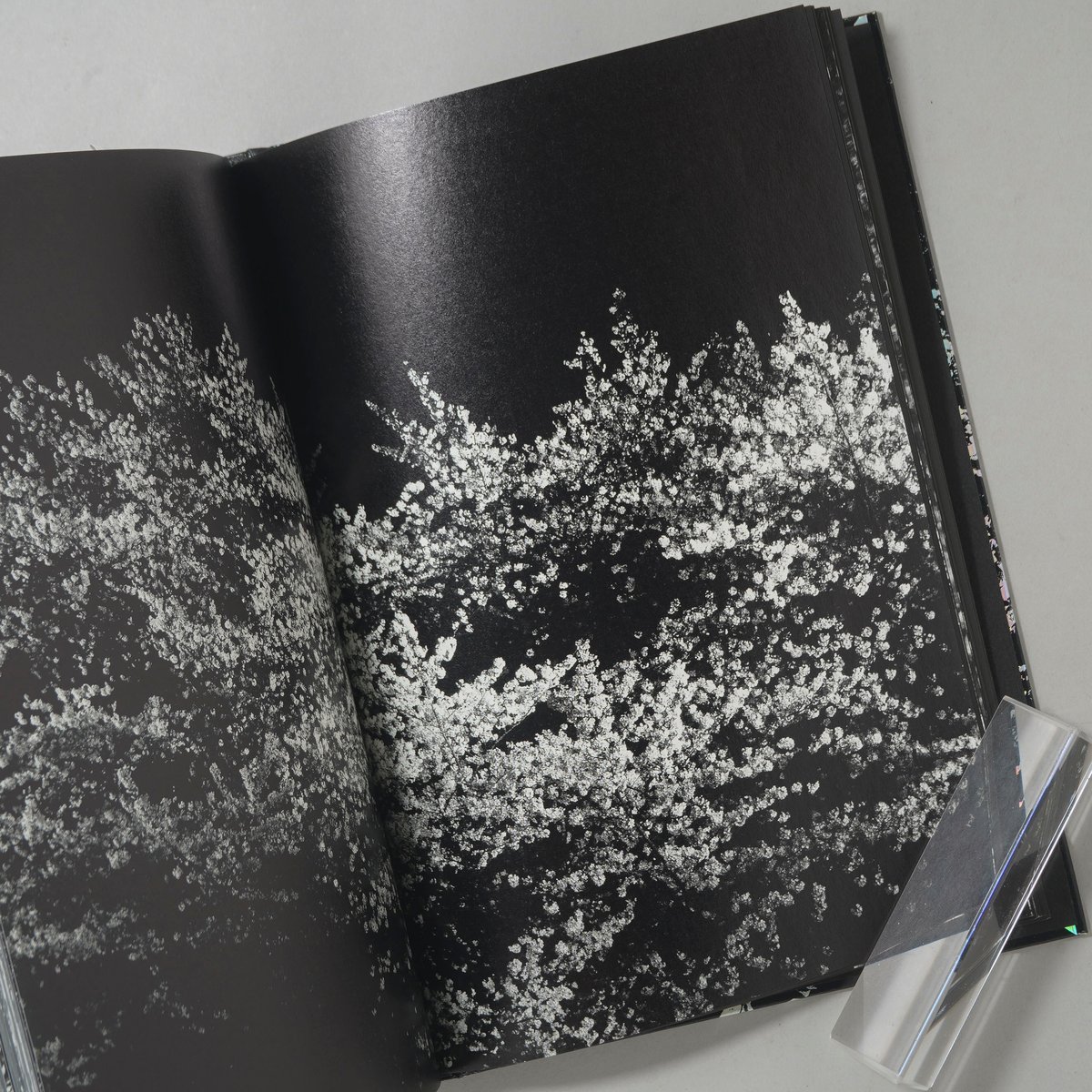 Daido Moriyama: Ango サイン入り サイン入/Signed] Ango(日本語版) / 森山大道(Daido Moriyama)
