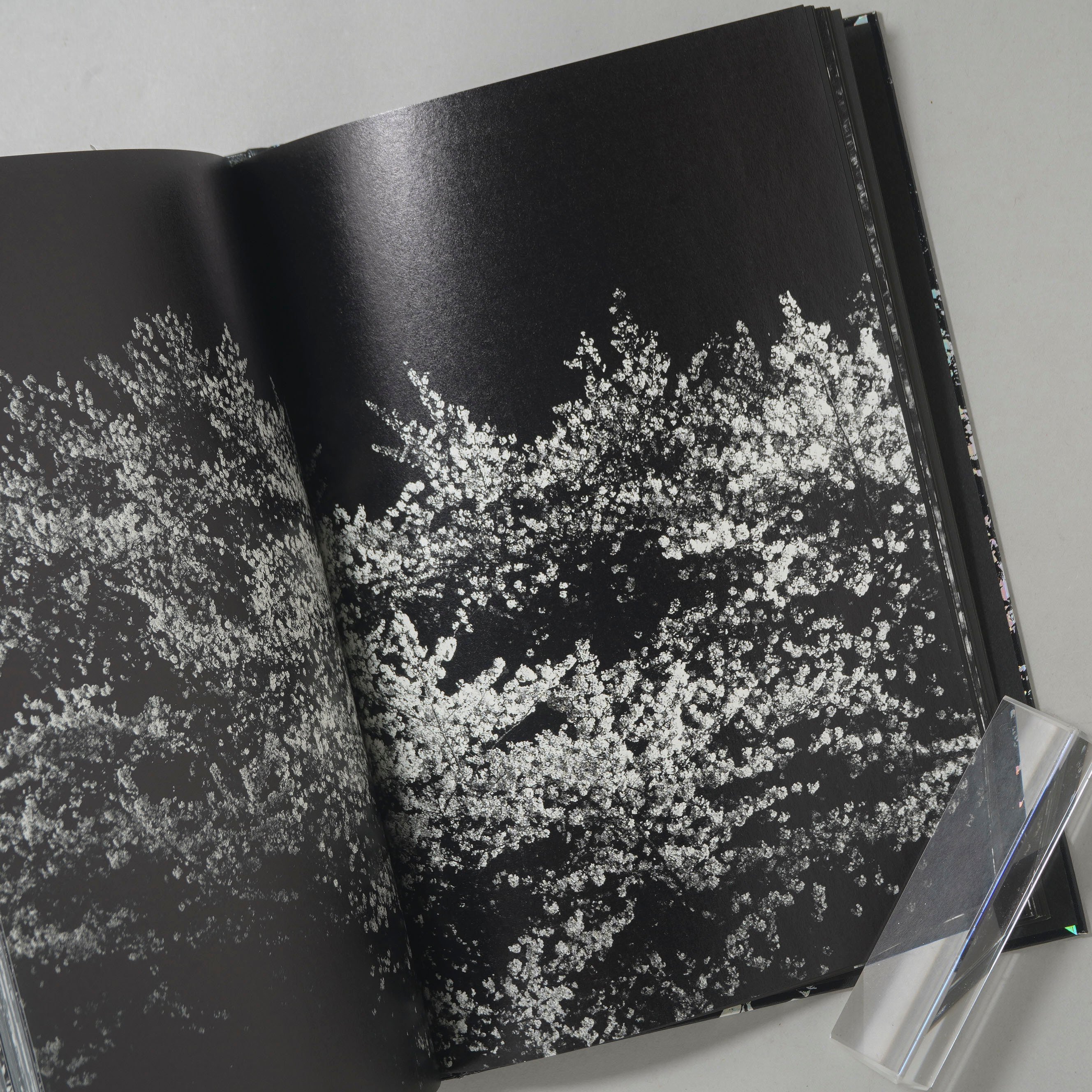 サイン入/Signed] Ango(日本語版) / 森山大道(Daido Moriyama)