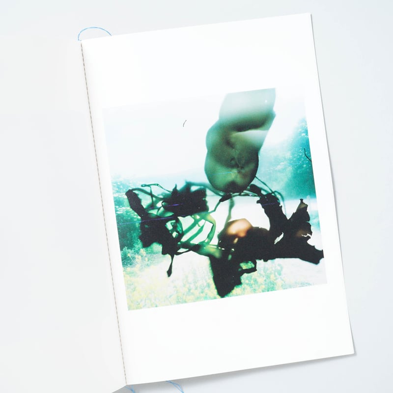 OUTSIDE IN special charity book / Stephen Gill(...