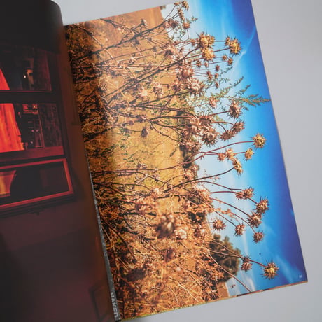 [新刊サイン入/New,Signed] Naked Flowers / 野村恵子(Keiko Nomura)