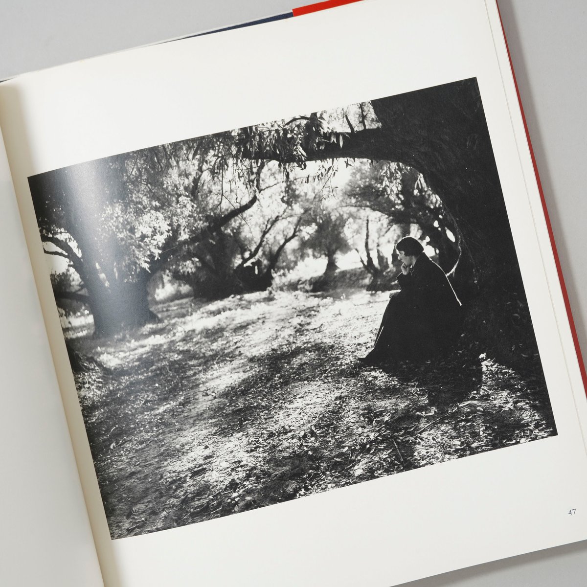 アンドレ・ケルテス★ハンガリアンメモリーズ アンドレ・ケルテス☆ハンガリアンメモリーズ HUNGARIAN