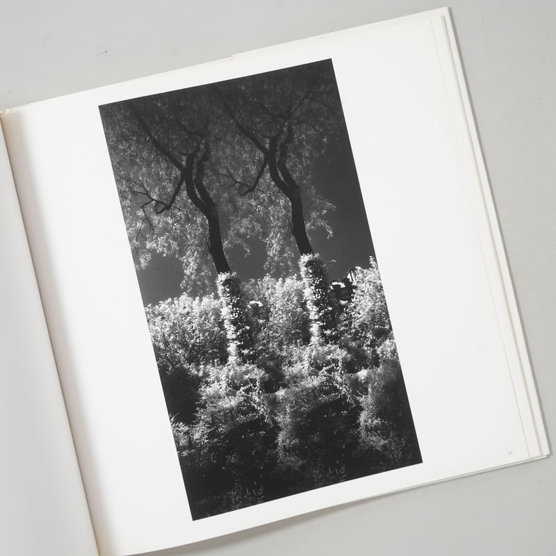 サイン入/Signed] HEAVEN / 奈良原一高(Ikko Narahara) | b