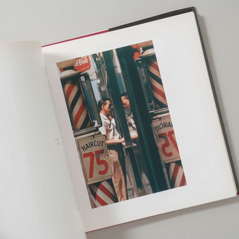 Early Color / Saul Leiter(ソール・ライター) | bookobscu