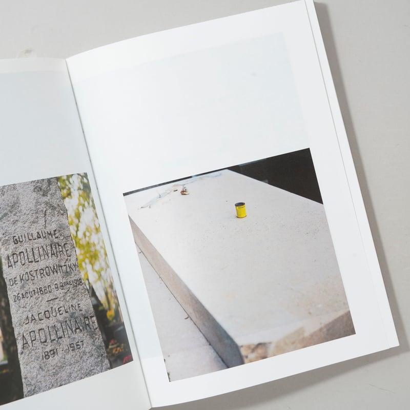 高橋恭司　サインなし　写真「蜂」C-print 高橋恭司 サインなし 写真「蜂」C-print 高橋恭司 サインなし 写真「蜂