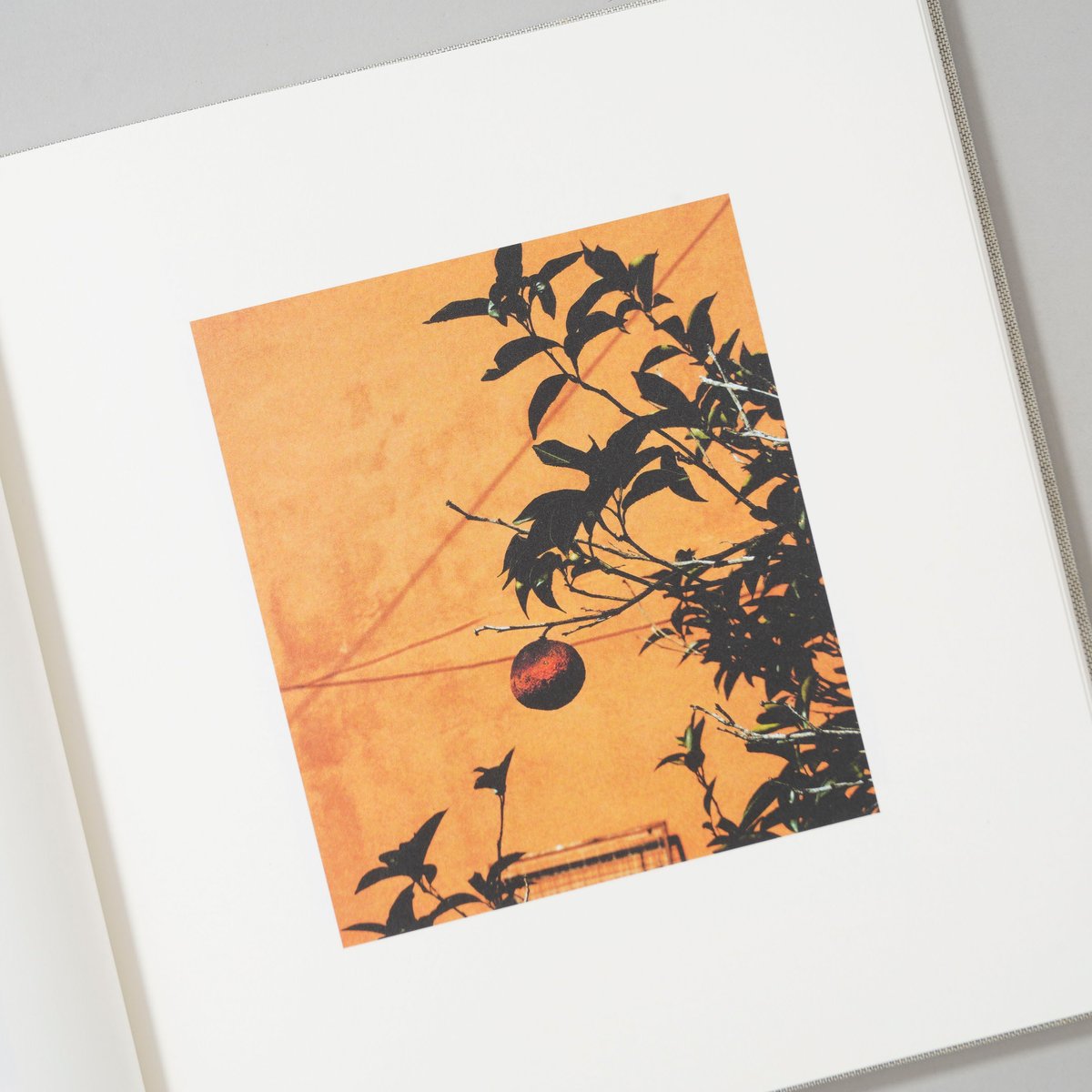 Photographs / Jack Davison(ジャック・デイヴィソン) | booko