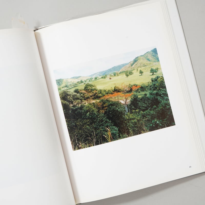 My Portrait 心象 / Thomas Struth(トーマス・シュトゥルート) |