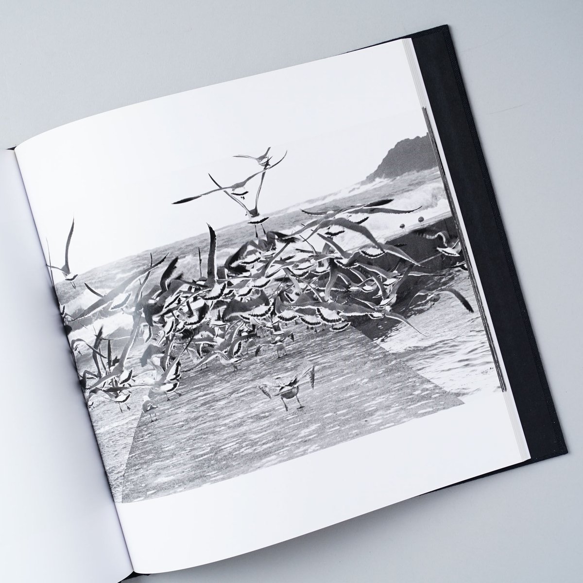 鴉 (RAVENS)/ 深瀬昌久(Masahisa Fukase) | book obscur...