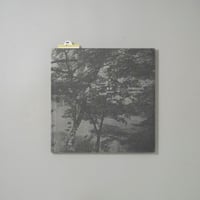 [サイン入/Signed] 島影 / 白石ちえこ(Chieko Shiraishi)