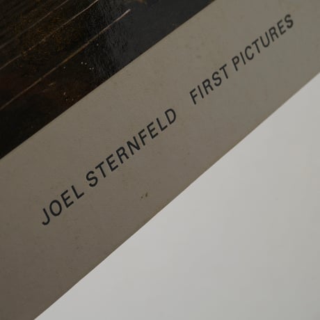 First Pictures / Joel Sternfeld (ジョエル・スタンフェルド)