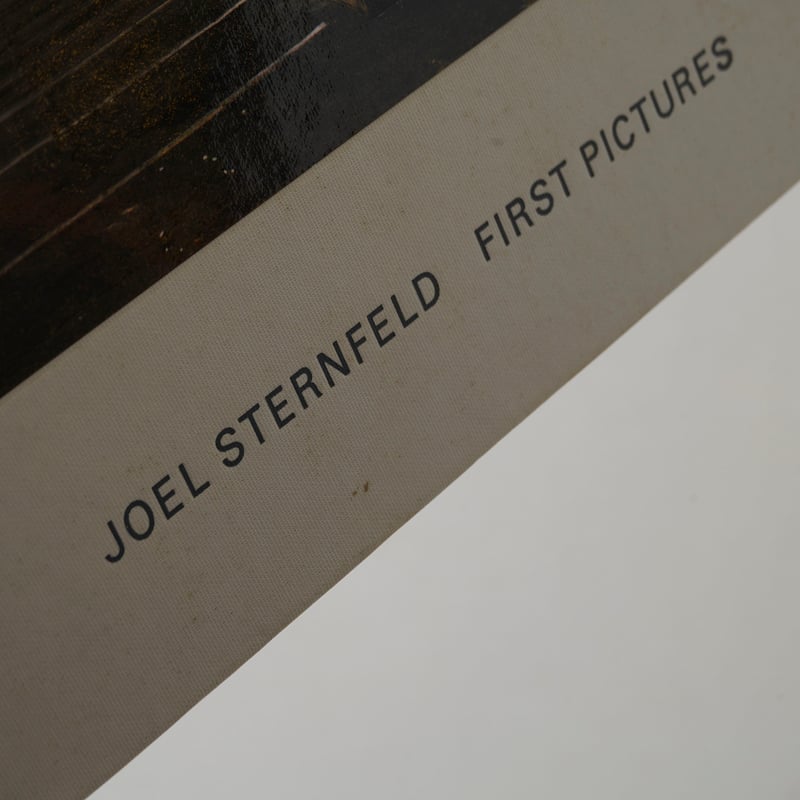 First Pictures / Joel Sternfeld (ジョエル・スタンフェルド)