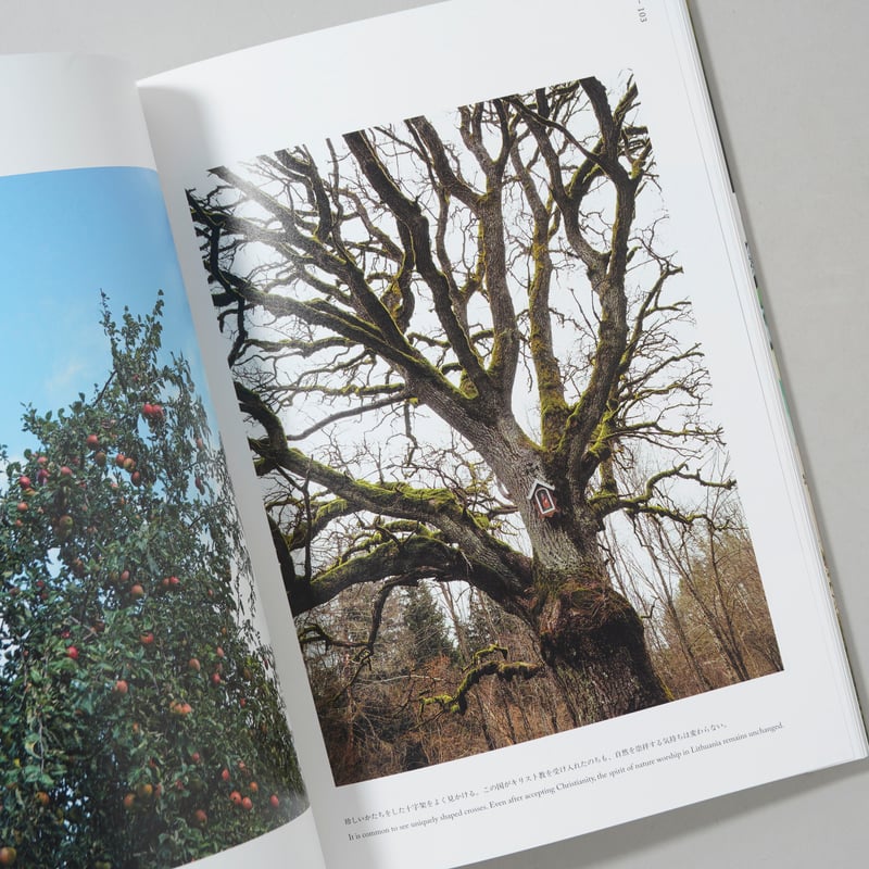 新刊サイン入/New,Signed] Lithuania,Lithuania,Lithuan