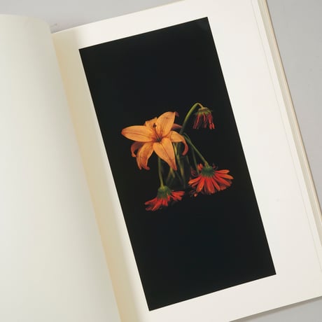 Into the silent land / 上田義彦（Yoshihiko Ueda）