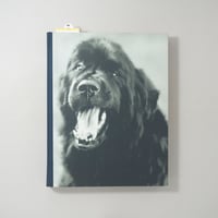 GENTLE GIANTS / Bruce Weber(ブルース・ウェーバー)
