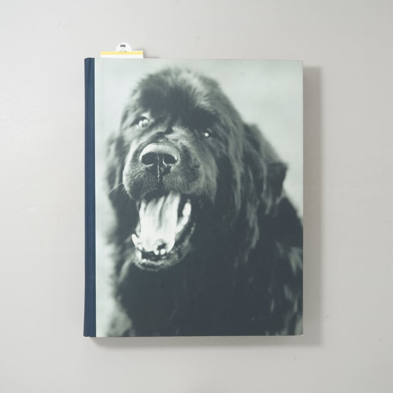 GENTLE GIANTS / Bruce Weber(ブルース・ウェーバー) | booko